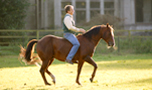 EQS-Horsemanship Instruktor Birger Gieseke
