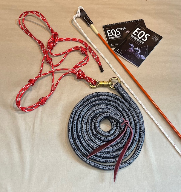 Bild Artikel Combo Basis Set & EQS Booklet