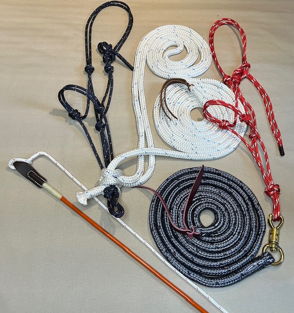 Bild Artikel Combo Basis Set Reiten