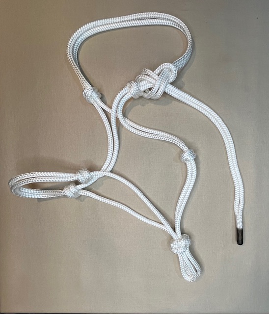 Bild Artikel EQS Horsemanhalfter Fohlen weiß