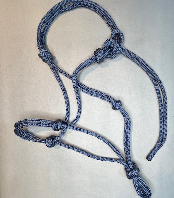 Bild Artikel EQS Horseman Hackamore Araber taubenblau