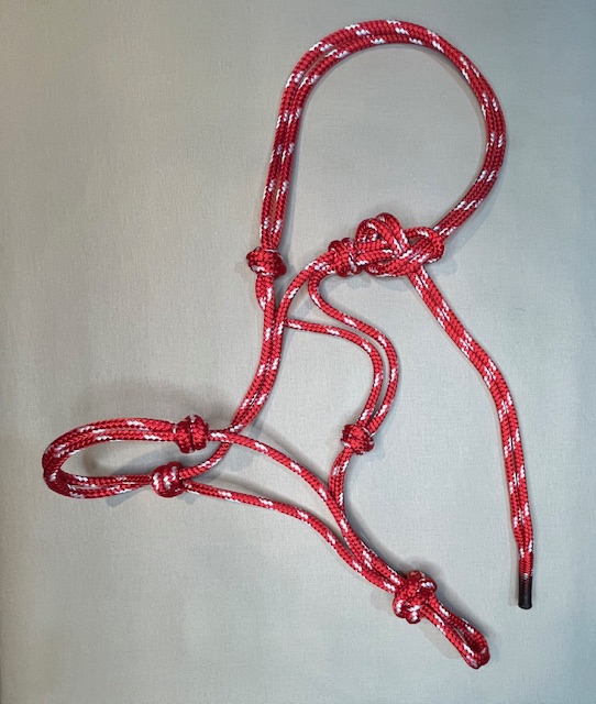 Bild Artikel EQS Horseman Hackamore QH/Vbl/Cob rot